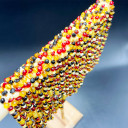 Kız Erkek, Kırmızı Siyah Karamel 4 Renkli, Yuvarlak Kesim Baltık Kehribar Kolye, Sertifikalı (ipek-347)